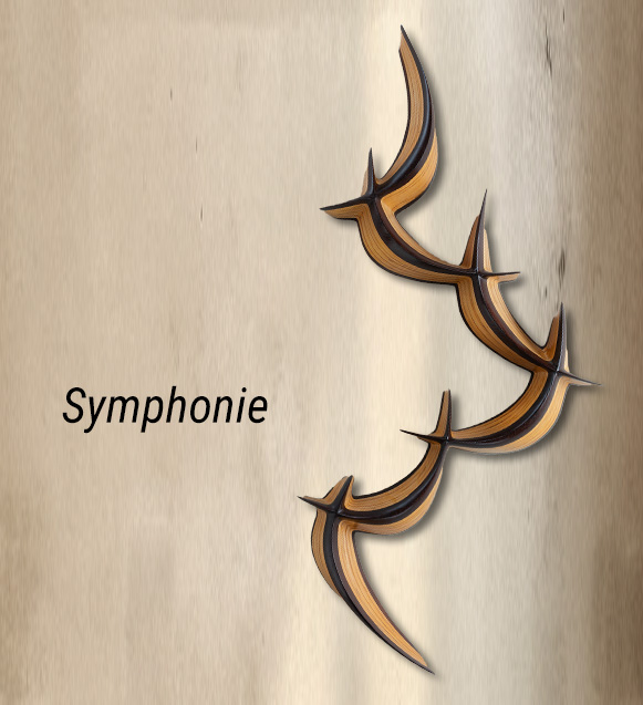 Symphonie on wall3